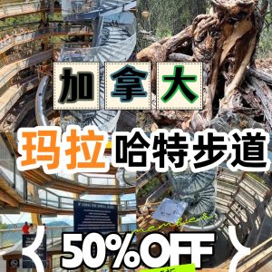 50% OFF Canada: Malahatskywalk
